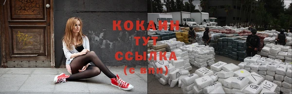 mdpv Новозыбков