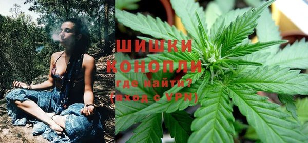 ПСИЛОЦИБИНОВЫЕ ГРИБЫ Новодвинск