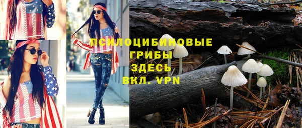 mdpv Новозыбков