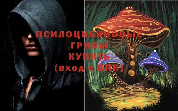ПСИЛОЦИБИНОВЫЕ ГРИБЫ Новодвинск