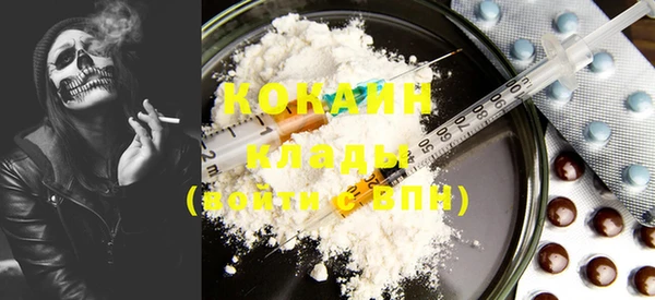 mdpv Новозыбков