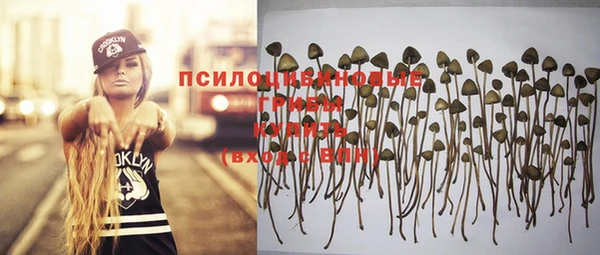 твердый Алагир