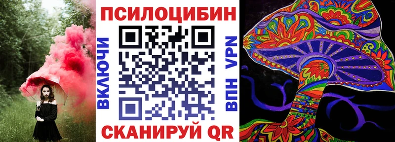 где продают наркотики  Чита  Галлюциногенные грибы Cubensis 