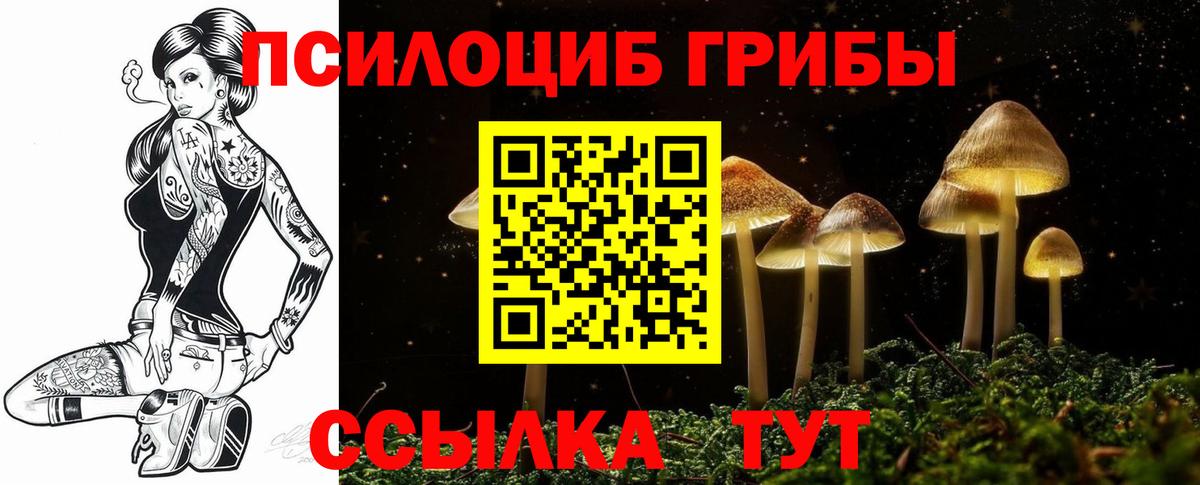 Псилоцибиновые грибы мухоморы Чита